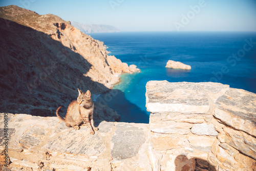 A cat sitting on a stone wall and mediterranean sea at the background