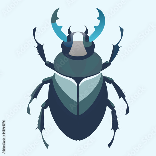 beetle insect