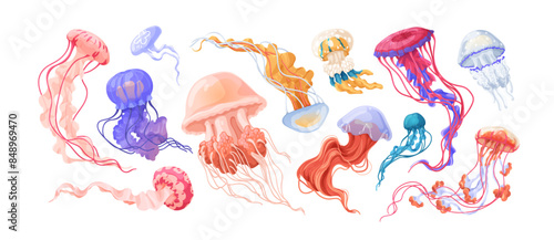 Jellyfishes set. Underwater marine jelly fishes species. Undersea animals, medusa. Sea water invertebrates with dangerous tails, tentacles. Flat vector illustration isolated on white background