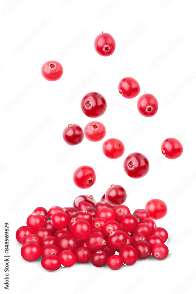 Red Cranberries Falling on a transparent background. Red Cranberries Falling on a transparent background.