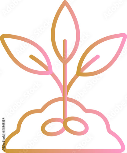 Seed Vector Icon