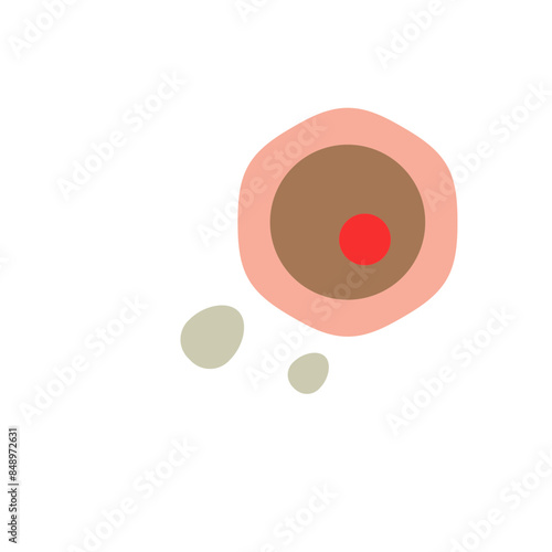 Fertilization