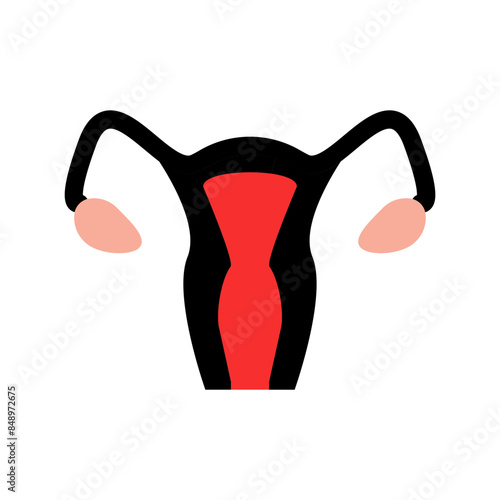 Womb