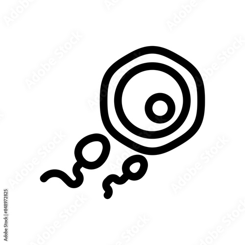 Fertilization