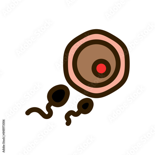 Fertilization