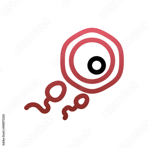 Fertilization