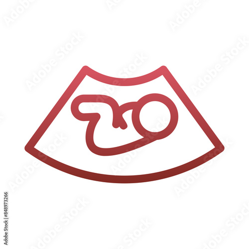 Fetal Ultrasound