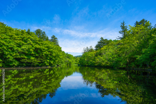 軽井沢の雲場池