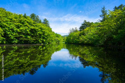 軽井沢の雲場池