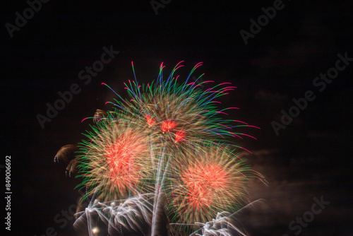 美しき花火芸術 photo