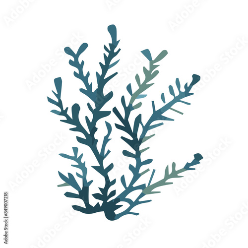 Blue algae in watercolor. Hand drawn botanical vector illustration.