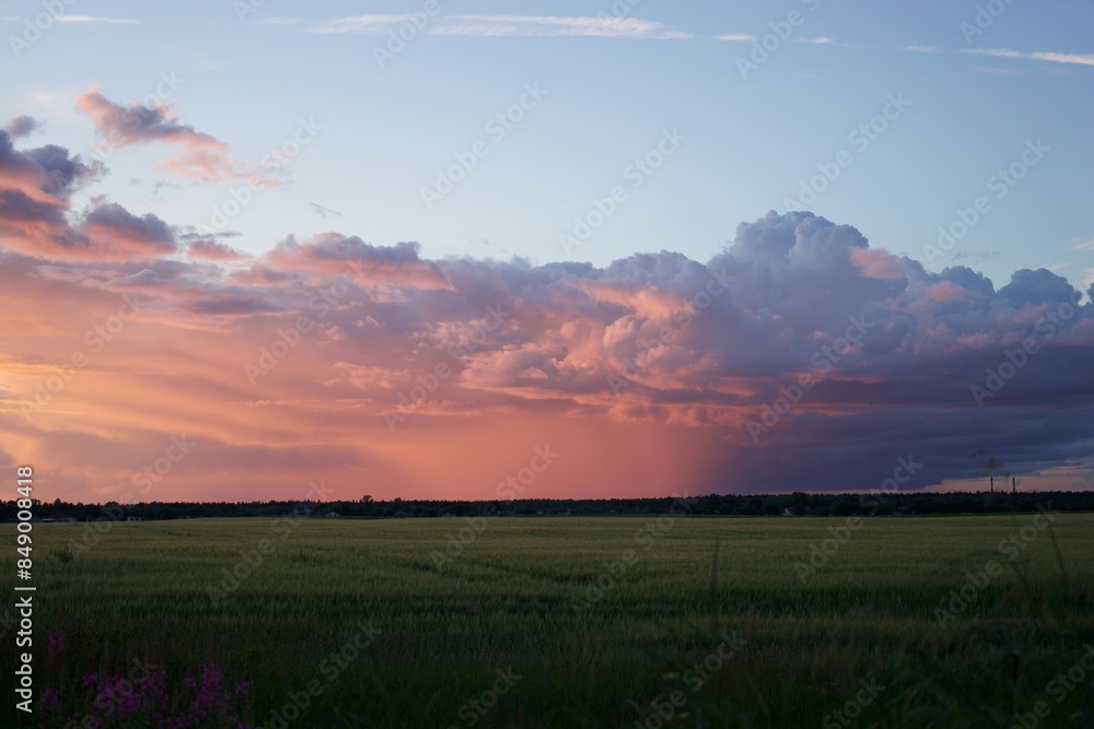 awesome pink summer sunset 