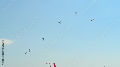 Group of 6 Stunt kites performance as synchronized flying team during a Kite festival on a sunny day 