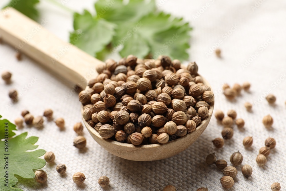 Spoon with dried coriander seeds and green leaves on light cloth, closeup Spoon with dried coriander seeds and green leaves on light cloth, closeup