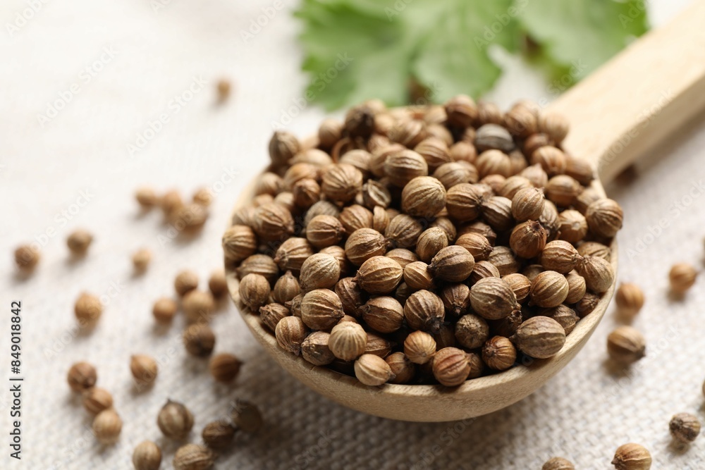 Spoon with dried coriander seeds on light cloth, closeup Spoon with dried coriander seeds on light cloth, closeup
