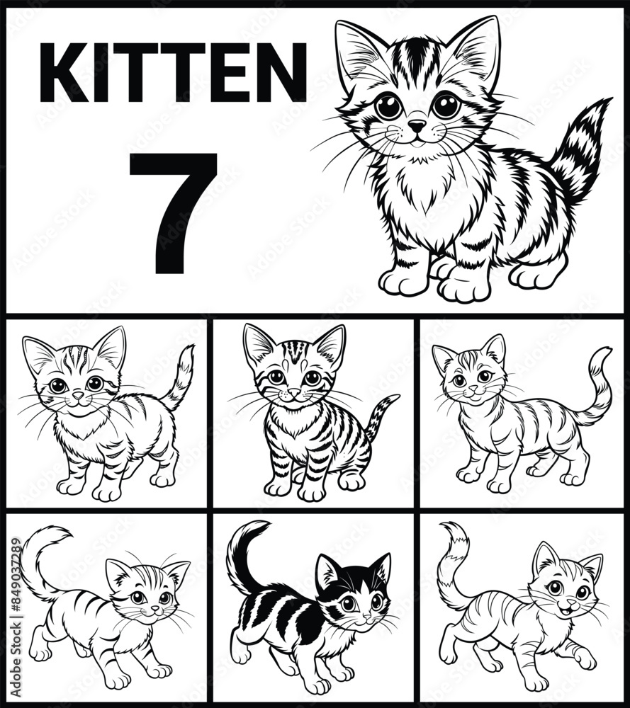 Fototapeta premium Kitten Outline Set Detailed Vector Illustrations on Clean White Background. Ideal for Nature Artworks.