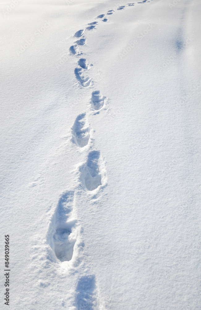 Footprints on the snow in winter.