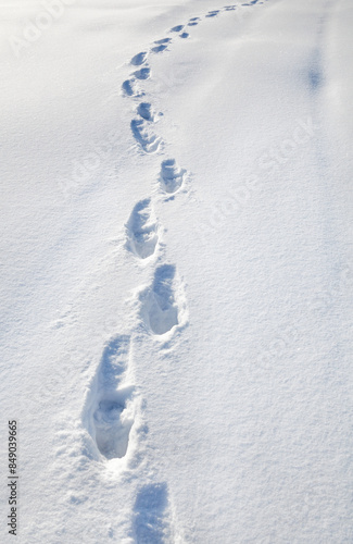 Obraz na płótnie Footprints on the snow in winter. w salonie