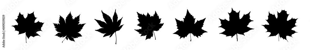Maple leaves isolated on transparent background. vector illustration Maple leaves isolated on transparent background. vector illustration