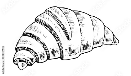 Croissant Vector hand drawn illustration. Food sketch drawing. Vintage white and black line art on background. Clipart of breakfast bun for graphic design. Bakery elements for prints and tags