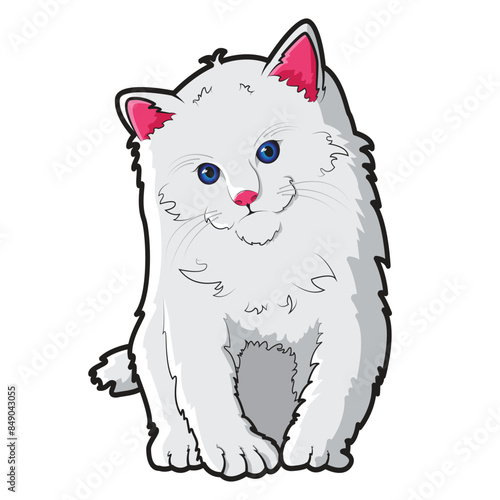 cute white kitten vector design