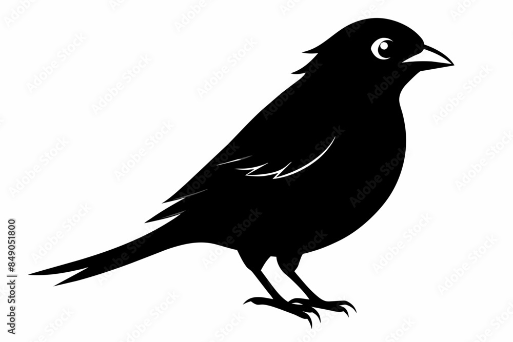 Sparrow Black Silhouette Vector,bird, animal, silhouette, vector, illustration, nature, birds, art, beak, wildlife, crow, cartoon, Sparrow Black Silhouette Vector,bird, animal, silhouette, vector, illustration, nature, birds, art, beak, wildlife, crow, cartoon,