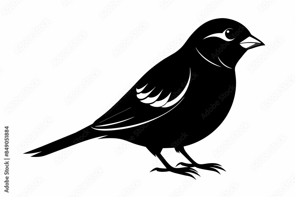 Obraz premium Sparrow Black Silhouette Vector,bird, animal, silhouette, vector, illustration, nature, birds, art, beak, wildlife, crow, cartoon, 