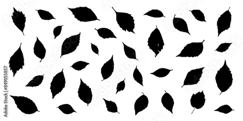 various virginia creeper leaf silhouettes on the white background