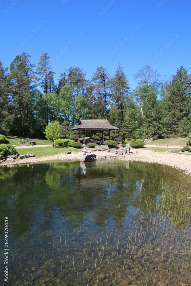 Obraz premium lake in the woods, U of A Botanic Gardens, Devon, Alberta