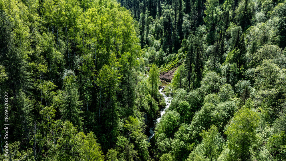 Fototapeta premium summer panoramic landscape of mountains and forest and waterfall against the sky in the area of ​​Lake Teletskoye in Altai