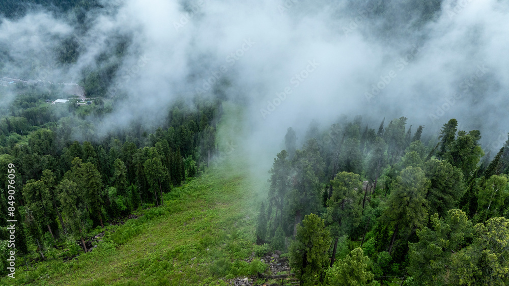landscape of mountains and pine forest in thick summer fog in the area of Lake Teletskoye in Altai landscape of mountains and pine forest in thick summer fog in the area of Lake Teletskoye in Altai