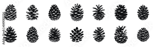Pine cone collection vector black and white illustration. Various cones in different shapes and sizes silhouette.