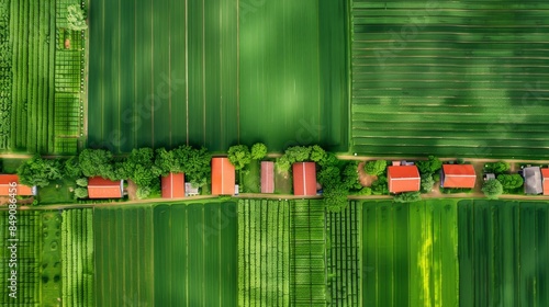 Aerial view of lush green agricultural fields and asymmetrical rural farmhouses photo