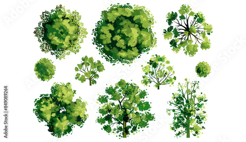 Vector illustrations set of trees and bushes top view, landscape elements for garden, park or forest, plants, garden design, landscape architecture, greenery illustrations