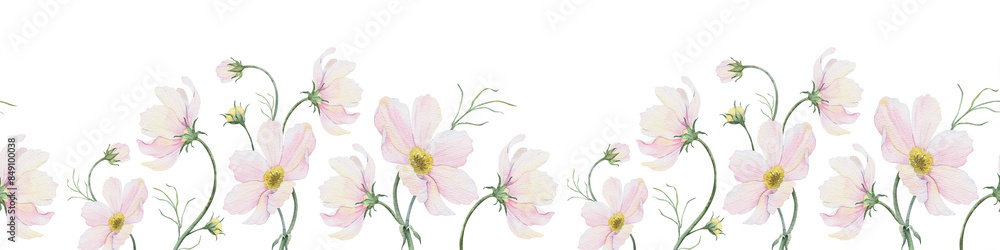 Cosmos flowers and leaves. Isolated hand drawn watercolor seamless border of pink wildflowers. Summer floral banner for wedding invitations, cards, packaging of goods Cosmos flowers and leaves. Isolated hand drawn watercolor seamless border of pink wildflowers. Summer floral banner for wedding invitations, cards, packaging of goods