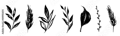 Set of retro branches and leaves. Silhouettes of hand drawn artistic field herbs in black ink. Vintage botanical florals.