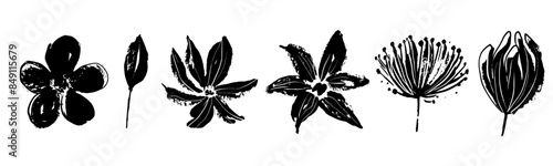 Collection of retro flower heads. Silhouettes of hand drawn artistic florals in black ink. Vintage botanical herbs