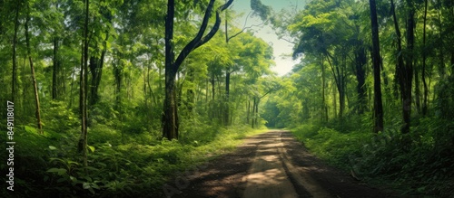 Panoramic tropical wild berry forest off road expedition wallpaper Copy space Selective focus blurred