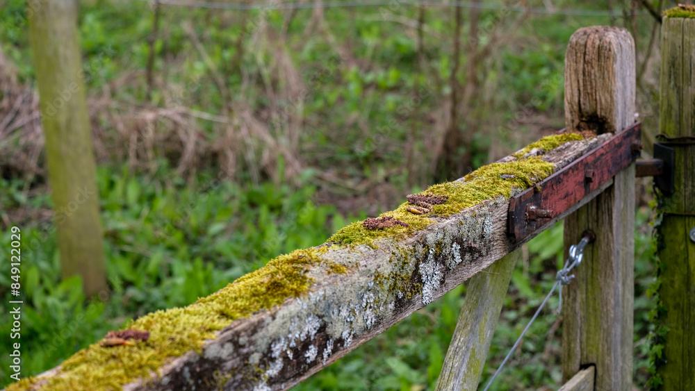 Moss and lichen covered old aged wooden gate in woodland of English rural countryside Moss and lichen covered old aged wooden gate in woodland of English rural countryside