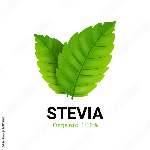 Stevia rebaudiana logo icon. Stevia leaf vector logo badge label plant natural extract. Herbal organic icon.