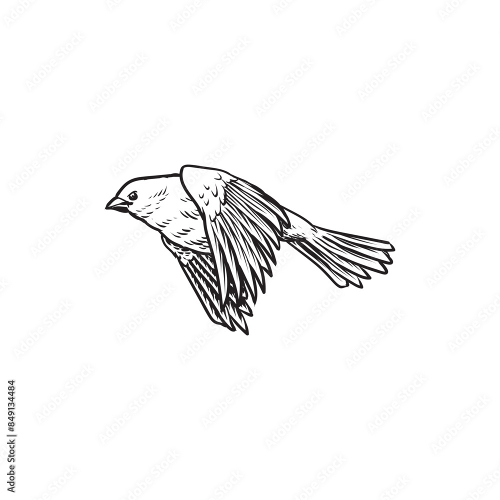 Obraz premium flying birds