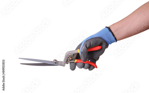 Garden scissors in hand with protective glove, isolated on white background