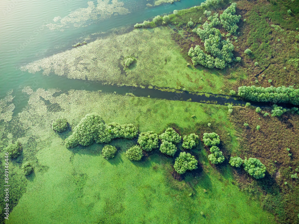 Stunning top-down view of a jungle environment with water and vibrant greenery