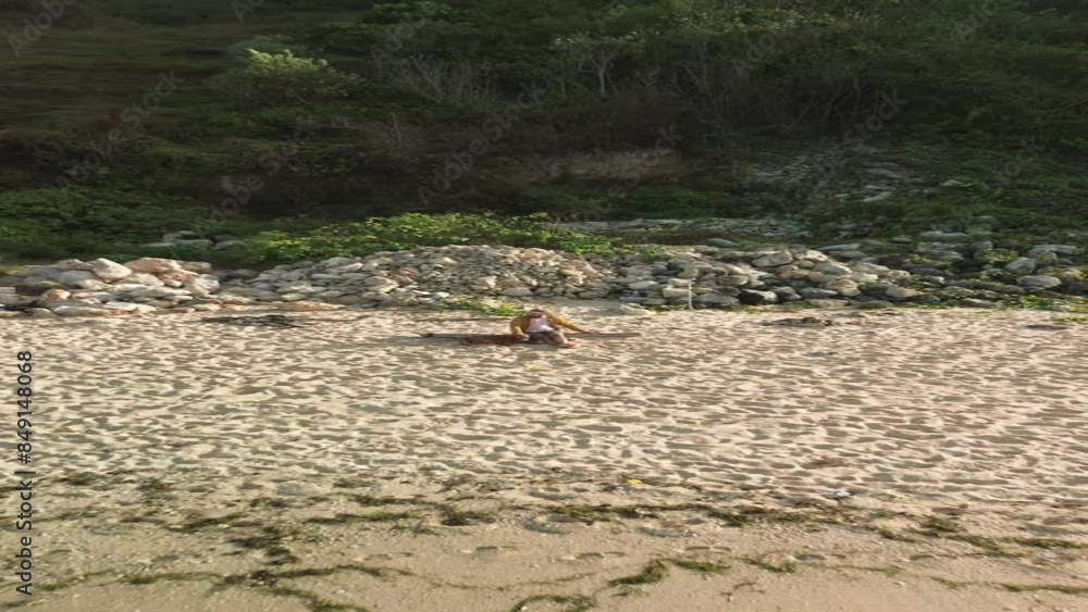 Vertical aerial view of a man sitting on the beach next to his golden retriever dog and petting it while looking out at the ocean. Vacation with a dog on the beach, on a tropical island. Vertical aerial view of a man sitting on the beach next to his golden retriever dog and petting it while looking out at the ocean. Vacation with a dog on the beach, on a tropical island.