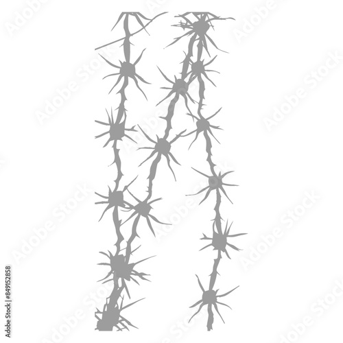 Neural Network Gray Scale: Abstract Neurons Interconnected on White Background.