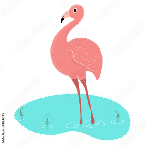 Flamingo standing in a water, vector illustration