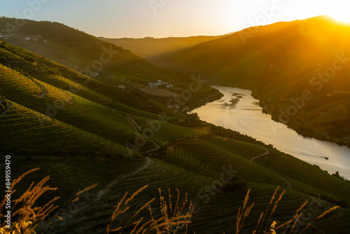 Sunset over ancient terraced vineyards in the romantic Douro Valley near the village of Pinhão, a World Heritage Site