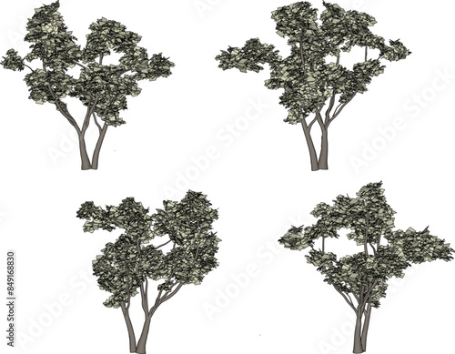 Sketch illustration vector drawing design of tree plant with many leaves 