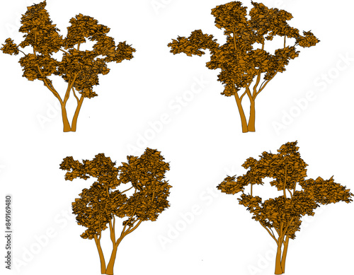 Sketch illustration vector drawing design of tree plant with many leaves