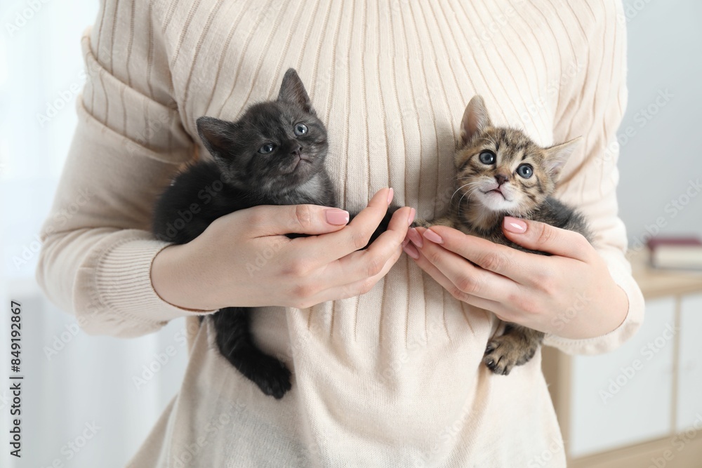 Woman with cute fluffy kittens indoors, closeup Woman with cute fluffy kittens indoors, closeup